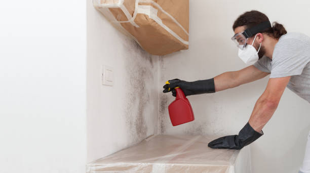 Professional Commercial Mold Remediation technician working in Dedham, MA